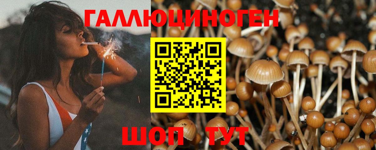 Псилоцибиновые грибы мухоморы Краснотурьинск
