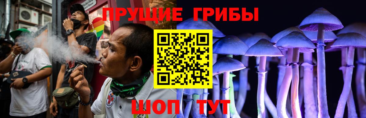 Краснотурьинск  Галлюциногенные грибы MAGIC MUSHROOMS  Псилоцибиновые грибы MAGIC MUSHROOMS  Вход с VPN 